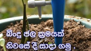 Bubbler irrigation system බිංදු ජල සම්පාදනය plastik bottle drip water irrigation system [upl. by Eerat819]