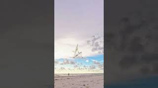 Mylar Quantum 2 SE from prismkites kite [upl. by Anayhd]