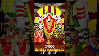 VAJRA KAVACHAM  VENKATESHWARA SWAMY  GODAVARI VLOGS [upl. by Aderb]