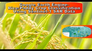 How to Classify Paddy Fields with Sentinel 1 SAR Data in Google Earth Engine [upl. by Erlina]