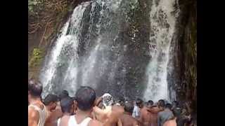 agathiyar aruvi agathiyar falls at papanasam [upl. by Beitnes11]