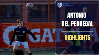 Antonio del Pedregal  One Sports Chile [upl. by Eisnyl]