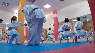 Entrenamiento Karate Infantil  CLUB KARATE SERGIO MARTÍNEZ [upl. by Hildegarde]