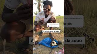 Rogo da zobo muke ci a location gurin daukar video [upl. by Ewnihc]