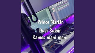 Prince Marián amp Duši Sukar  Kames mani mani [upl. by Ayekehs975]