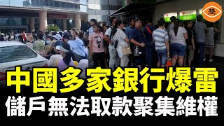 中國金融業集體最大詐騙銀行、基金和信託機構欺騙民眾 普通百姓只能被割韭菜 [upl. by Zicarelli128]