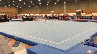 NAIGC Nationals 2023 Emily Oberg Floor Prelims [upl. by Janifer]