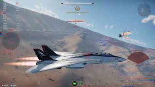 F14B  6 Kills  BVR  BFM  Sons of Attila [upl. by Fleeman953]