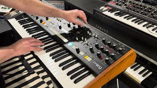 Exploring the Moog Muse [upl. by Secunda39]