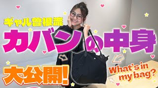 【Whats in my bag 】ギャル曽根のカバンの中身を抜き打ちチェック2024！ [upl. by Raamal840]