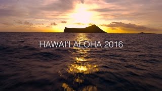 Hawaii Aloha  Song Across Hawaii  Playing For Change Collaboration [upl. by Forrest286]