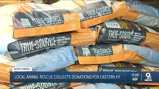 How you can help eastern Kentucky pets in need [upl. by Topliffe497]