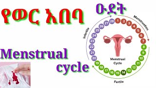 🩸ጤናማ የወር አበባ ዑደት ምን ይመስላል Menstrual Cycle briefly explained Amharic menstruation [upl. by Ahsanat]