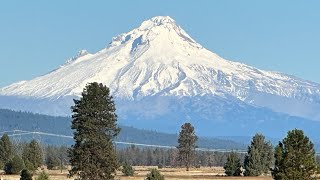 2024 Deschutes River Spring Salmon Fishing [upl. by Haraf]