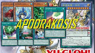 NEW APODRAKOSIS deck Aug2024  Testing new Archetype [upl. by Divadnahtanoj]