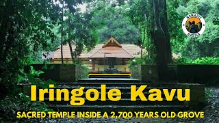 Iringole Kavu  Temple Inside A Forest  Keralas Mysterious Temple  Largest Sacred Grove In Kerala [upl. by Alejna]