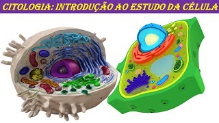 CITOLOGIA INTRODUÇÃO AO ESTUDO DA CÉLULA [upl. by Nek]