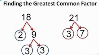 How to find the greatest common factor  from TutaPointcom [upl. by Yrrej]