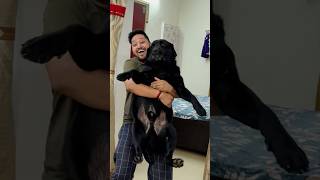 My Dog Hates Bath trending lucky doglover [upl. by Lieberman351]