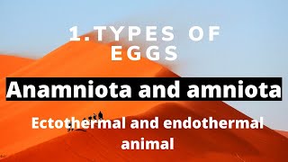 types of eggs in animals extraembryonic membrane poikilothermic and homoiothermous animal [upl. by Acir]