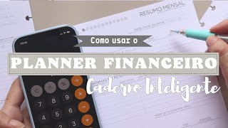 Como usar o planner financeiro do Caderno Inteligente l Passo a passo completo com exemplos [upl. by Sutsuj]