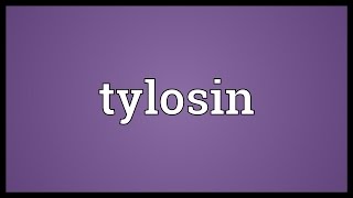 Tylosin Meaning [upl. by Royal599]