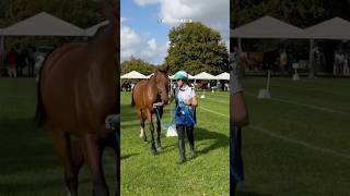 Coppa delle Regioni Endurance Horse Race 2024 [upl. by Haikezeh]