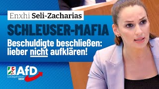 Schleuserskandal Aufklärung durch Beschuldigte abgelehnt – Enxhi SeliZacharias AfD [upl. by Naltiac270]