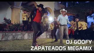 DJ GOOFY  HUAPANGOS SONES ZAPATEADOS MEGAMIX [upl. by Assener]