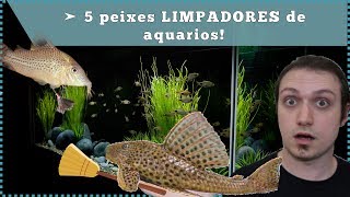 5 peixes LIMPADORES de aquário [upl. by Sigfrid]