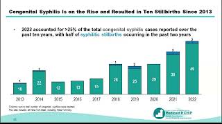 Improving Maternal Health Lessons Learned from States Addressing Congenital Syphilis [upl. by Anaigroeg]