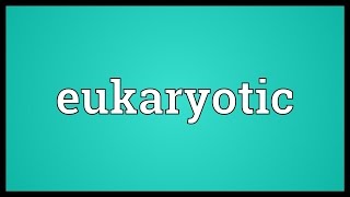 Eukaryotic Meaning [upl. by Asiulairam]