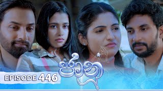 Jaanu  Episode 446  20241108  ITN [upl. by Collier]