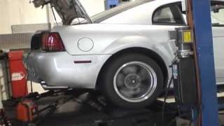 1999 Mustang GT w 54 DOHC SX80 Turbo Dyno [upl. by Rodman]