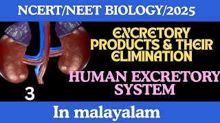 EXCRETORY PRODUCTS amp THEIR ELIMINATION NCERTNEETBIOLOGYCLASS XI IN MALAYALAM [upl. by Airun]