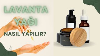 Lavanta Yağı Yapımı Adım Adım Rehber ve Püf Noktaları [upl. by Colene]