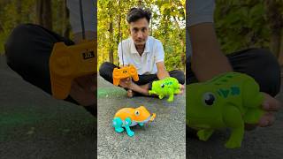 Remote control two frog 🐸 testing [upl. by Amrita]