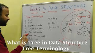 What is Tree in data structure  Tree Terminology in Hindi  CSE Gyan [upl. by Malsi]