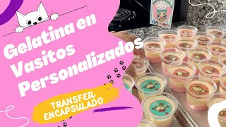 Gelatina en Vasitos Personalizados [upl. by Obediah598]