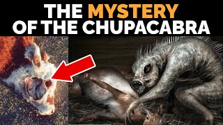 The CHUPACABRA is APPROACHING  Documentary [upl. by Llerdnek]