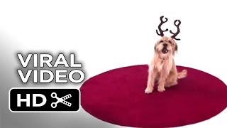 Anchorman 2 The Legend Continues Viral Video  Ask Baxter 2013  Will Ferrell Movie HD [upl. by Leslie856]