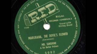 Marijuana The Devils Flower by Mr Sunshine [upl. by Flight889]