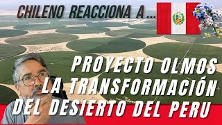 Chileno reacciona Perú transformo el desierto en un vergel  el proyecto Olmos perú [upl. by Anerev]