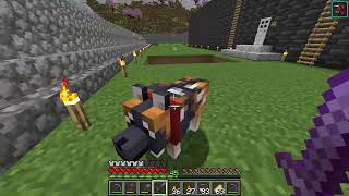 Dog Whimpering sound what does it mean   Minecraft 121 [upl. by Danna234]