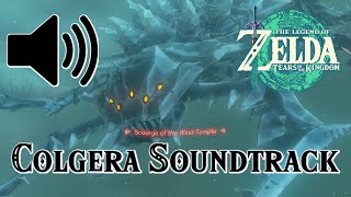 Colgera Boss Battle Theme 1 Hour  The Legend of Zelda Tears of the Kingdom Soundtrack [upl. by Waldon69]