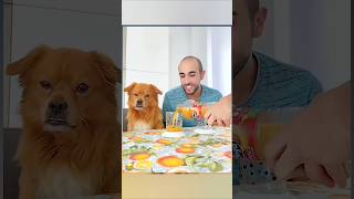 Prank 😂 with dog 🐕 funny 😂🤣 video viralvideos shorts [upl. by Danica]