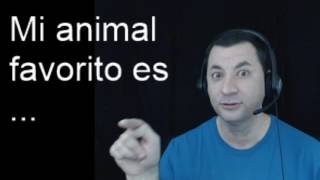 Learn Spanish with Paulino  Mi animal favorito  My favorite animal [upl. by Linzy]