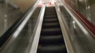 HAPPY ESCALATOR MONDAY グルメシティ西八王子店 日立エスカレーター HITACHI Escalatorslescalator（動画） [upl. by Lertnom165]