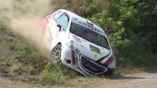 Rally Colli del Monferrato e del Moscato 2024 CRASHES amp MISTAKES [upl. by Adiell886]