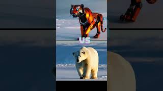 Polar Bear vs Wolf vs Giant CreaturesGodzillaRobotic Tiger Shark Elephant Lion Seal animals [upl. by Eceinwahs621]